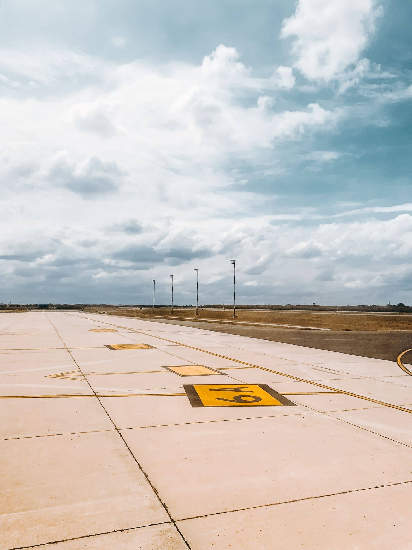 Airport & Aviation Security
